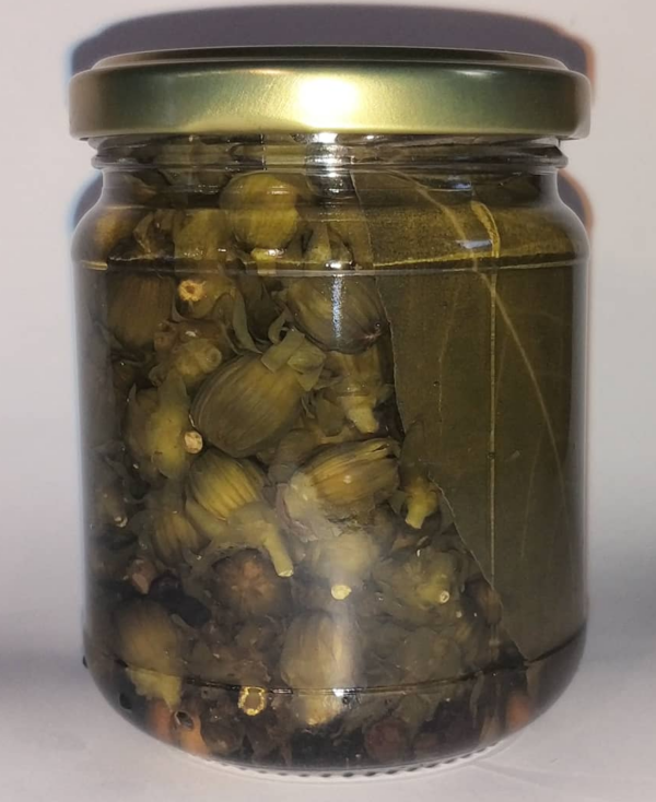 Boutons de pissenlit marinés au vinaigre