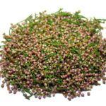 Tisane de Bruyère