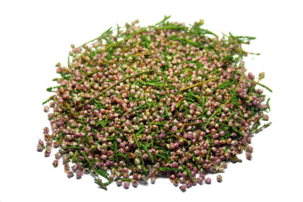 Tisane de Bruyère