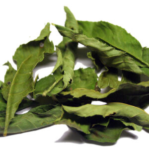 Feuilles de Frêne