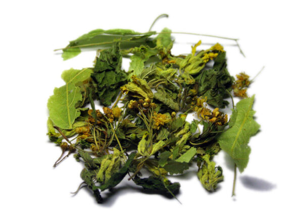 Tisane du soir